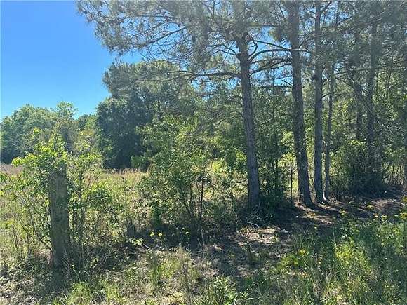 41.2 Acres of Recreational Land for Sale in Oberlin, Louisiana