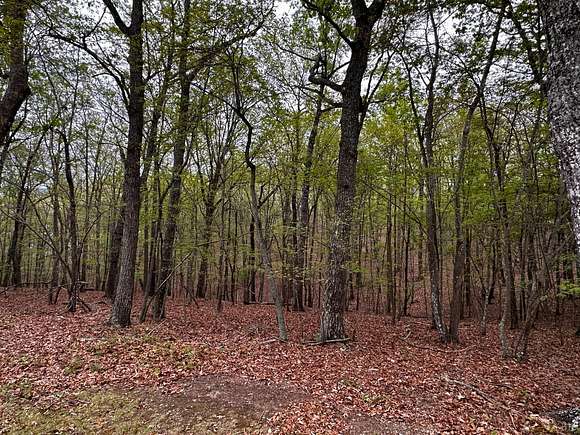 0.48 Acres of Land for Sale in Huddleston, Virginia