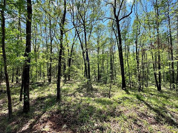 38 Acres of Recreational Land & Farm for Sale in Pickens, Mississippi