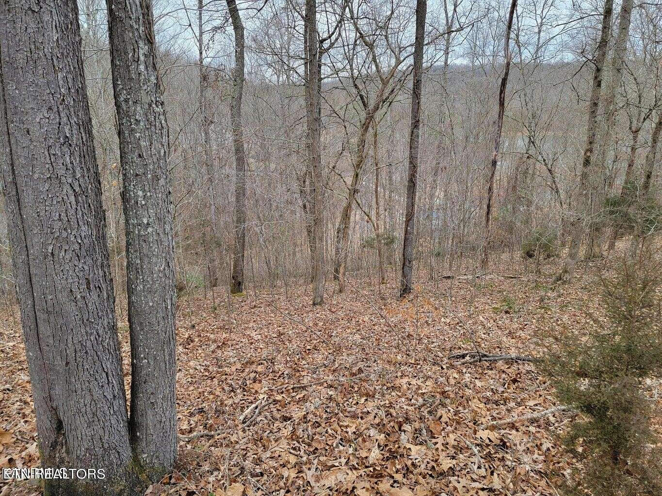0.66 Acres of Residential Land for Sale in La Follette, Tennessee