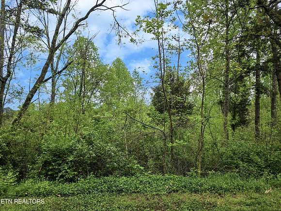 0.97 Acres of Land for Sale in Seymour, Tennessee