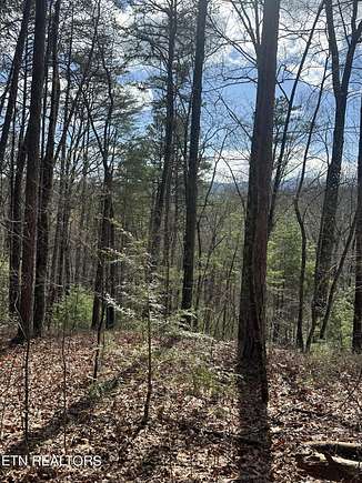 18.9 Acres of Land for Sale in Tallassee, Tennessee