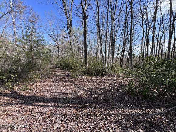 8.6 Acres of Residential Land for Sale in Crawford, Tennessee