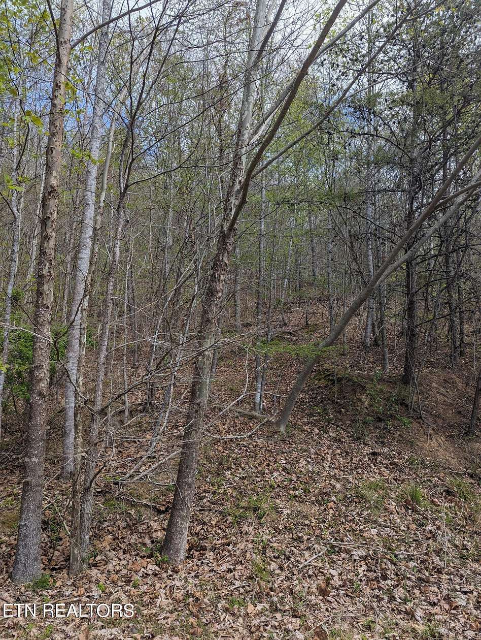 3 Acres of Land for Sale in New Tazewell, Tennessee