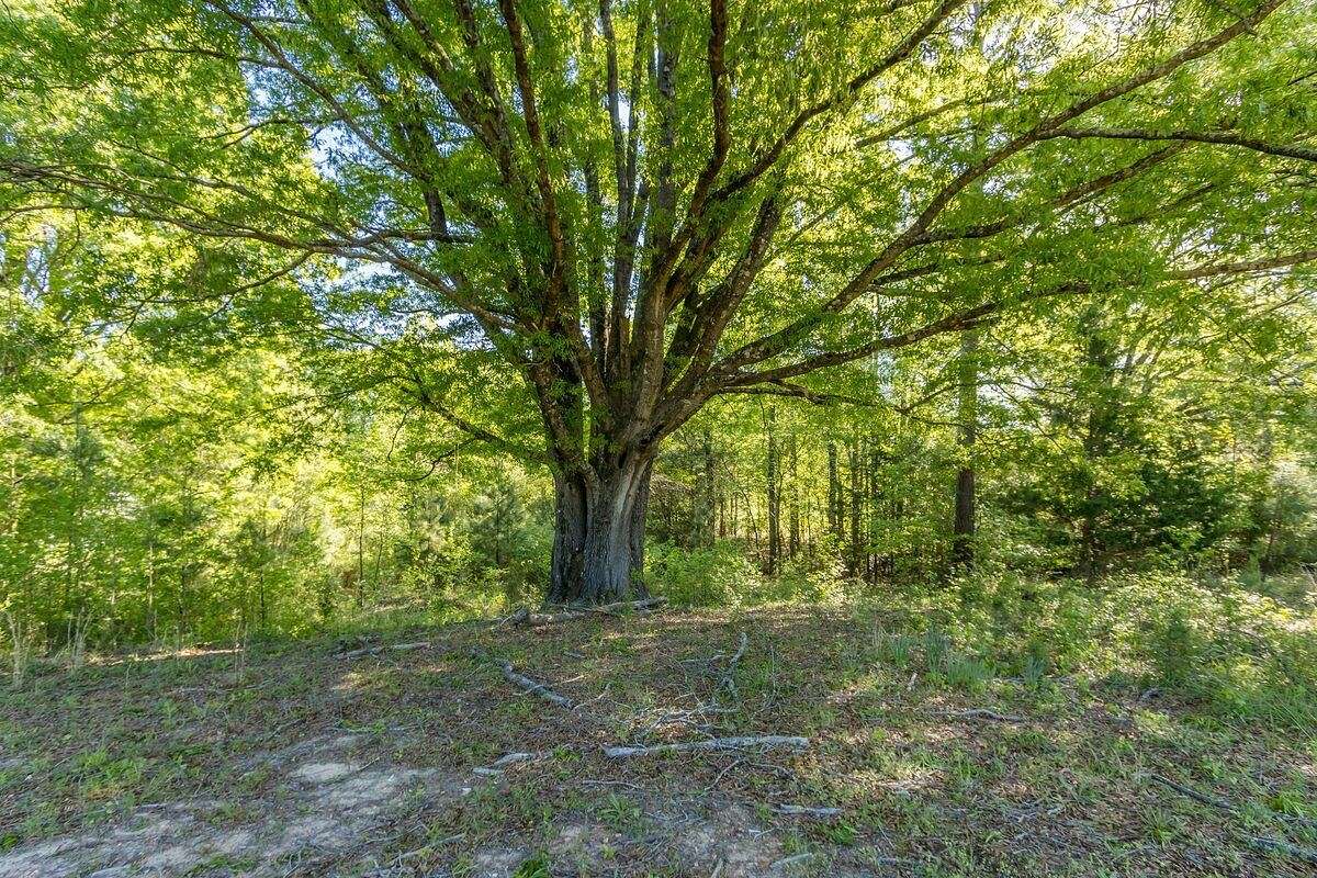 1.1 Acres of Residential Land for Sale in Appling, Georgia