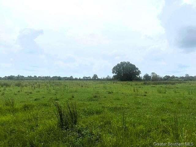 54 Acres of Land for Sale in Vinton, Louisiana