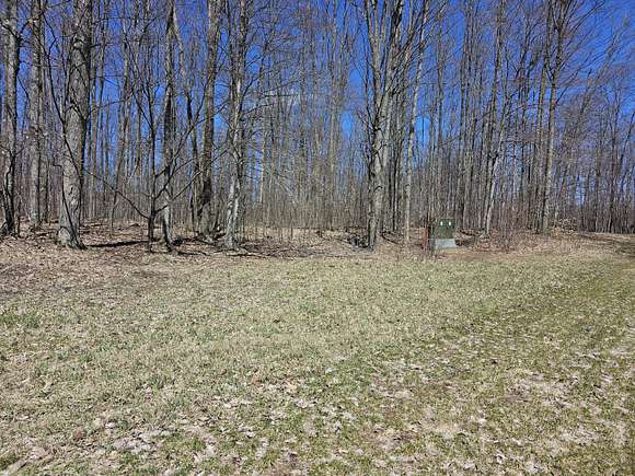 10 Acres of Recreational Land for Sale in Frederic, Michigan