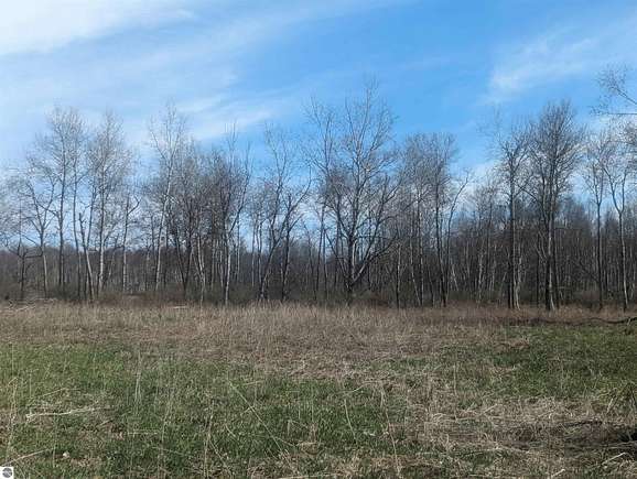 80 Acres of Recreational Land for Sale in Tawas City, Michigan