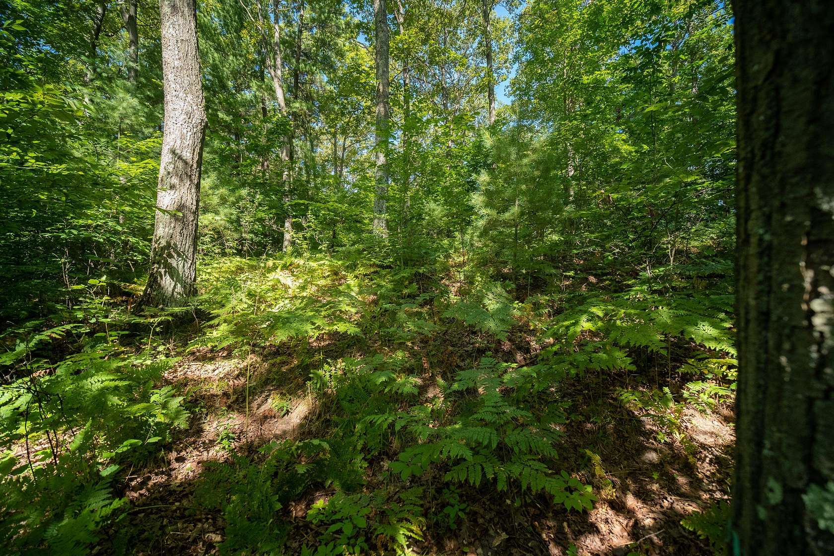 1.2 Acres of Land for Sale in Onekama, Michigan