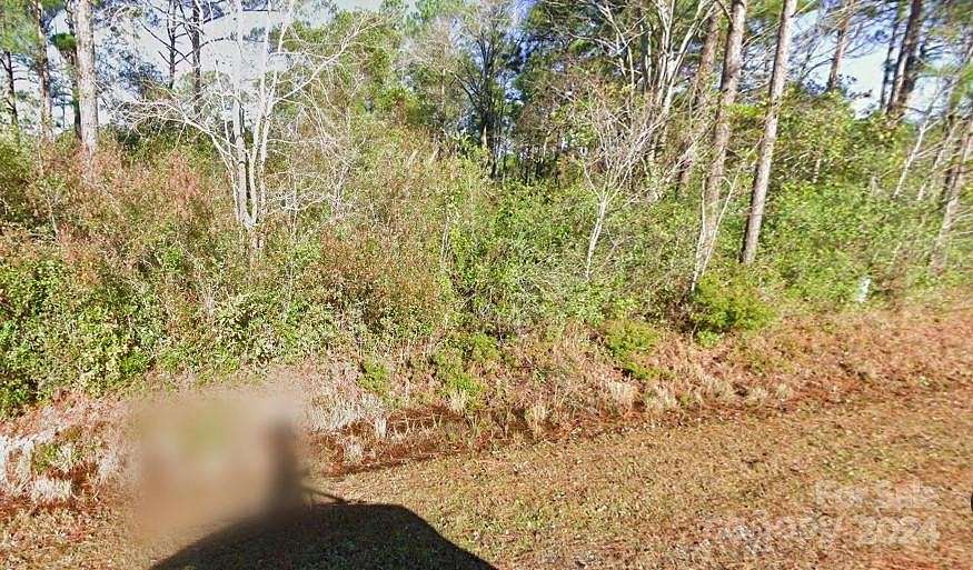 0.24 Acres of Residential Land for Sale in Boiling Spring Lakes, North Carolina