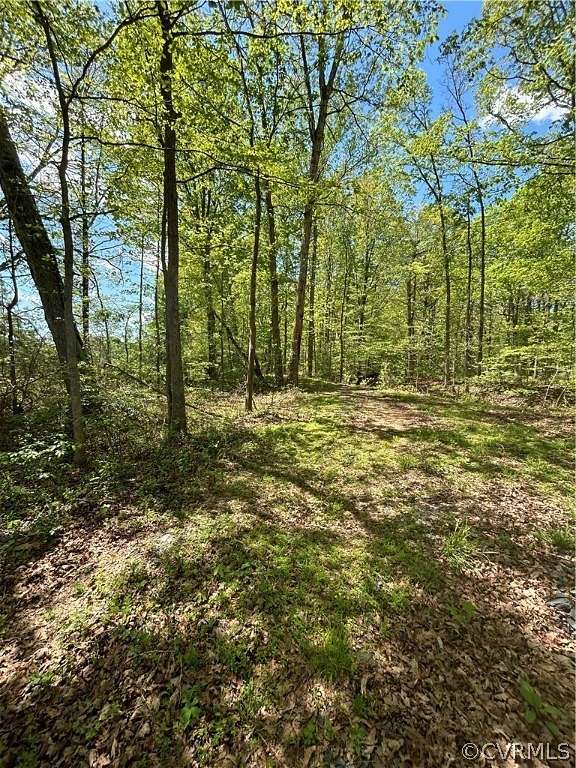 66.6 Acres of Recreational Land for Sale in Powhatan, Virginia