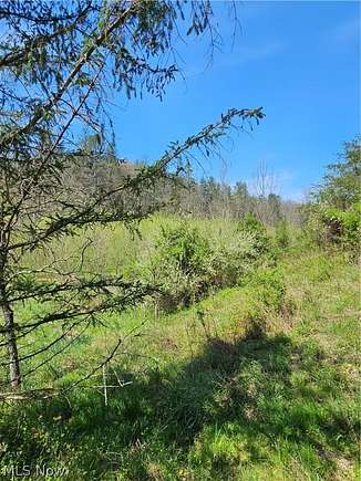 6.2 Acres of Land for Sale in Amma, West Virginia