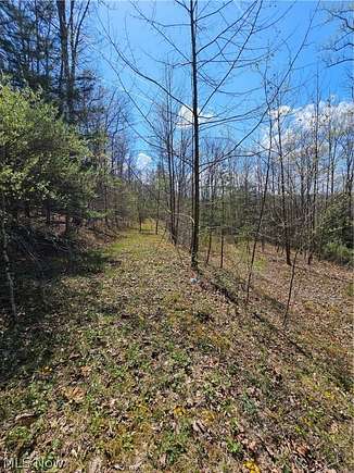 4.4 Acres of Land for Sale in Amma, West Virginia