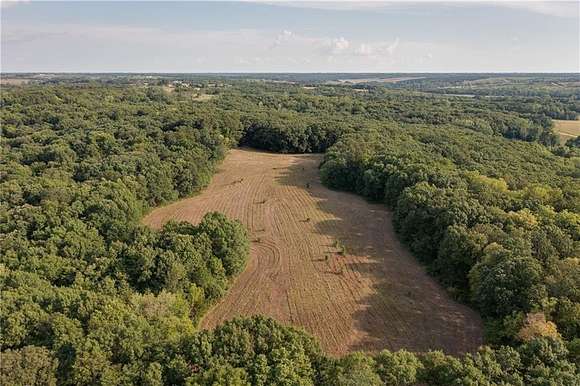 21 Acres of Land for Sale in Lucas, Iowa