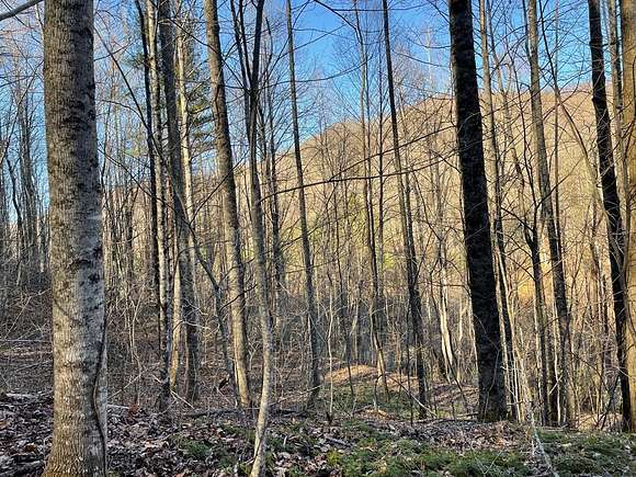 19 Acres of Recreational Land for Sale in Sylva, North Carolina