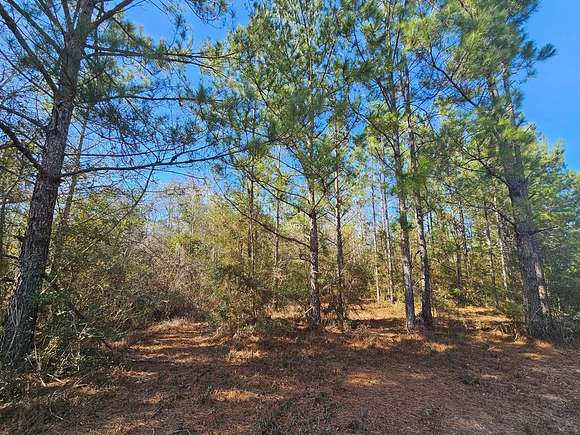 6.2 Acres of Residential Land for Sale in Poplarville, Mississippi