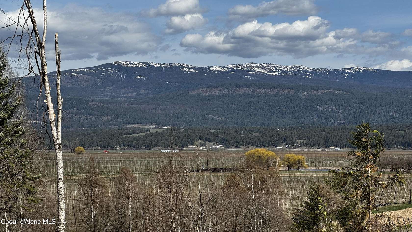 20.3 Acres of Recreational Land for Sale in Bonners Ferry, Idaho