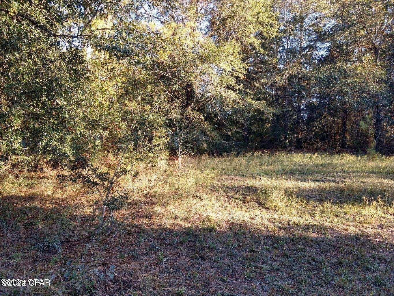 0.34 Acres of Residential Land for Sale in Bonifay, Florida