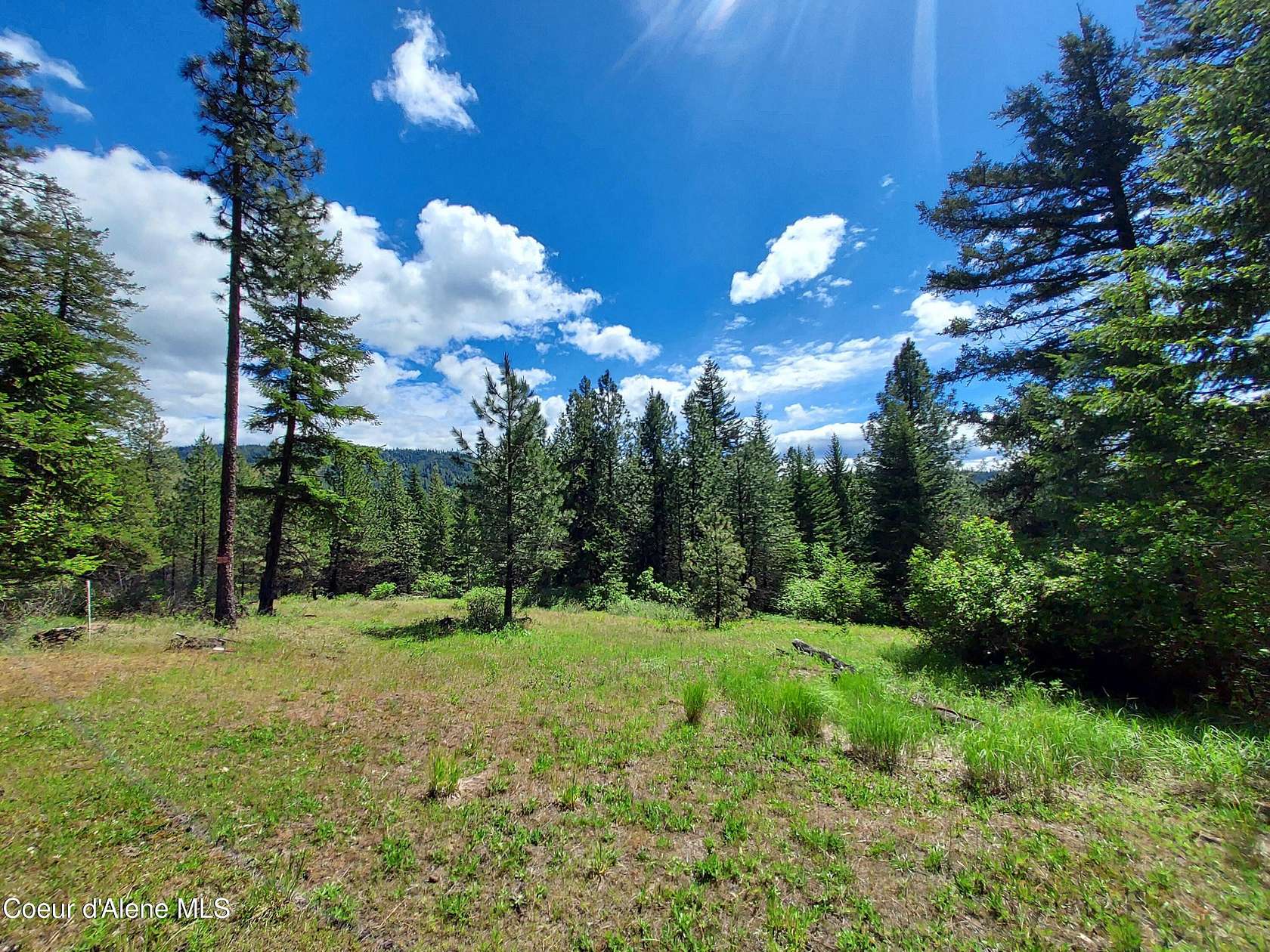 10 Acres of Residential Land for Sale in Harrison, Idaho