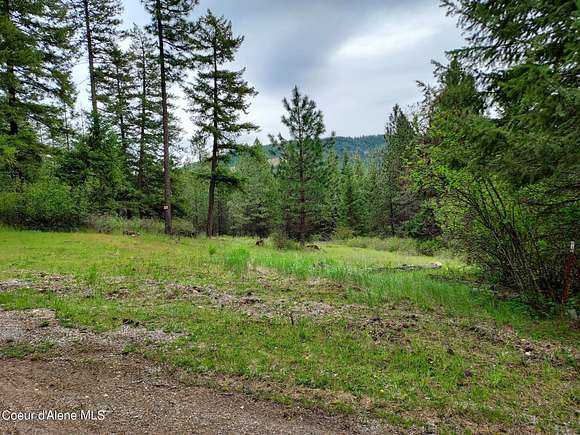 10 Acres of Residential Land for Sale in Harrison, Idaho