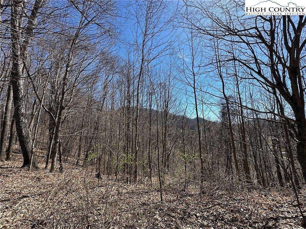 5.8 Acres of Land for Sale in Vilas, North Carolina