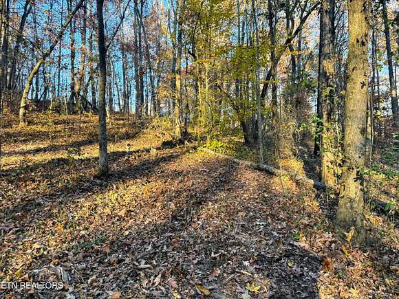 0.98 Acres of Residential Land for Sale in Kingston, Tennessee