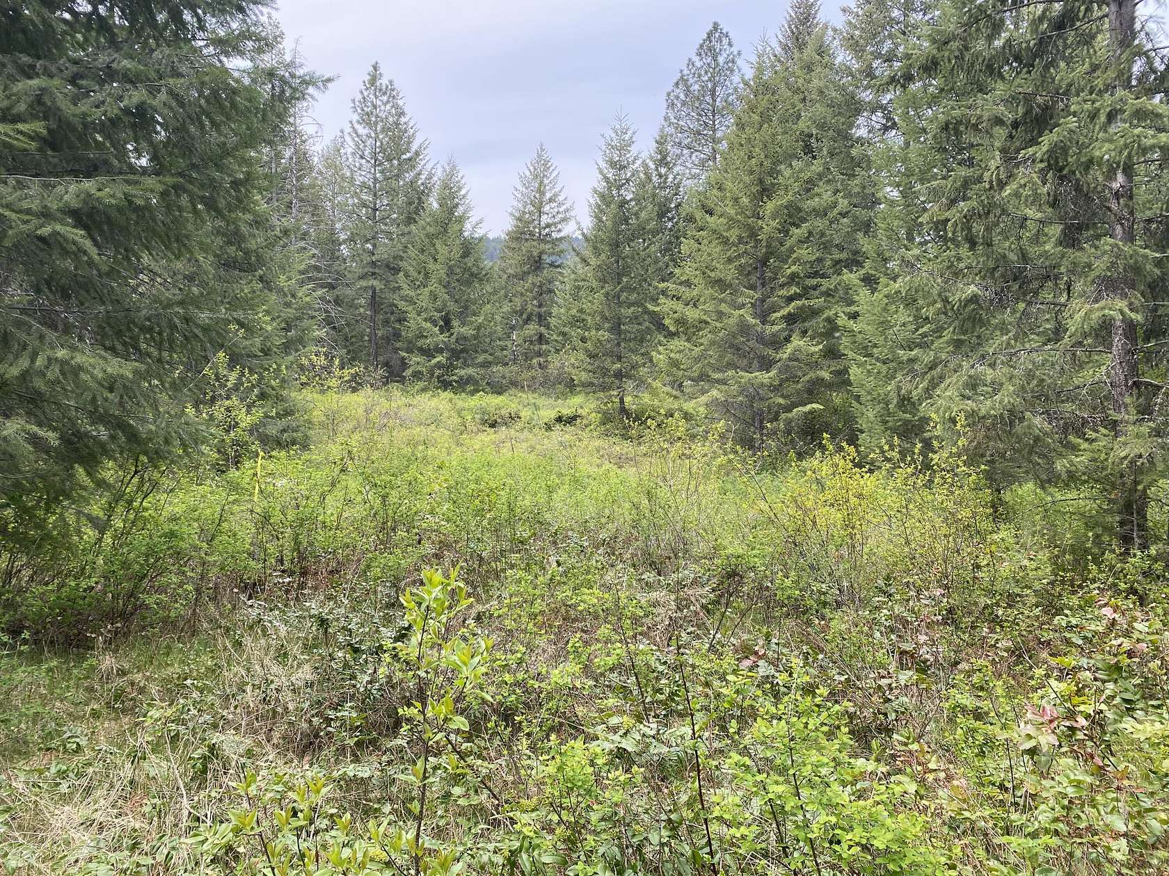 9.8 Acres of Residential Land for Sale in Kettle Falls, Washington