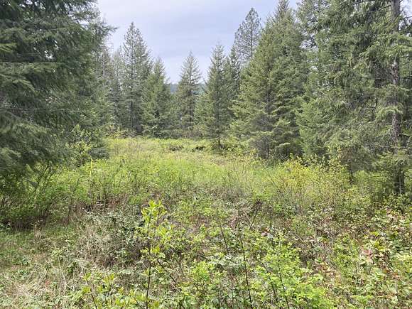 9.82 Acres of Residential Land for Sale in Kettle Falls, Washington