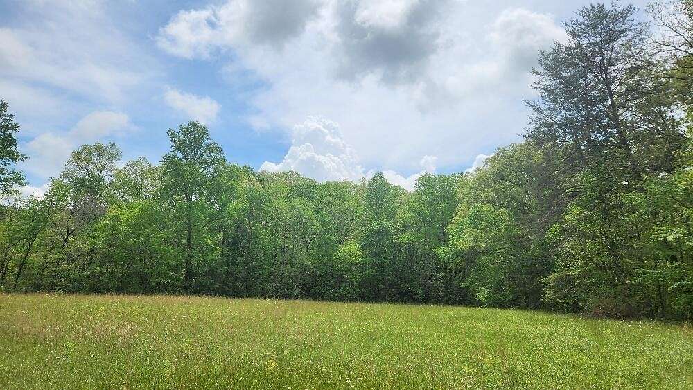 20.3 Acres of Agricultural Land for Sale in Pikeville, Tennessee