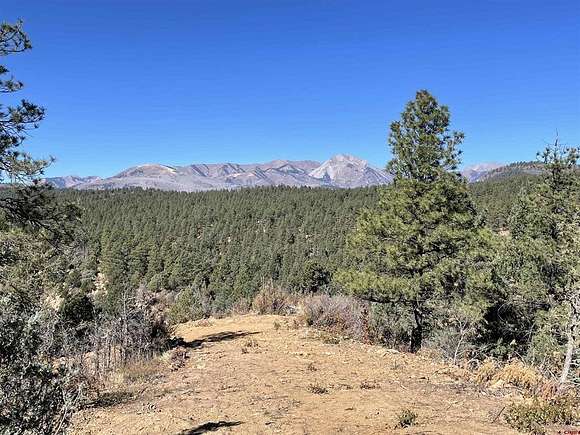40 Acres of Land for Sale in Durango, Colorado