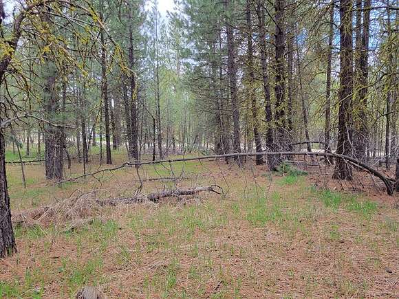 0.86 Acres of Land for Sale in Cascade, Idaho