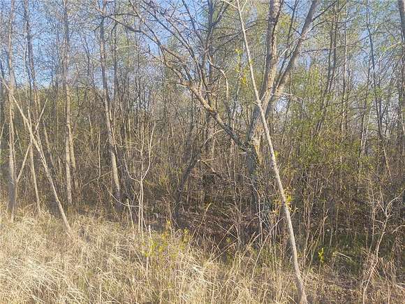20 Acres of Recreational Land for Sale in Hillman, Minnesota