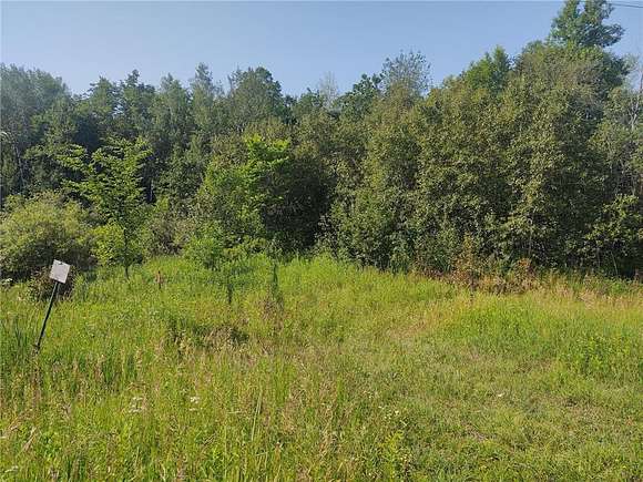 20 Acres of Recreational Land for Sale in Hillman, Minnesota