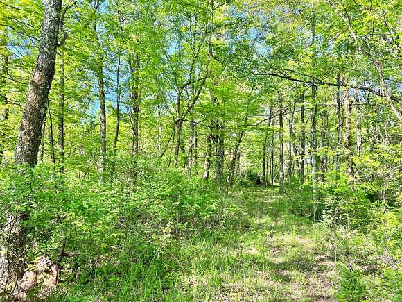 23.3 Acres of Recreational Land for Auction in Big Run, West Virginia
