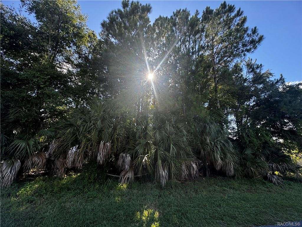 0.34 Acres of Land for Sale in Crystal River, Florida