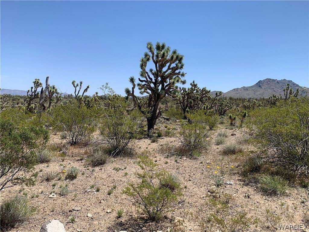 1.1 Acres of Land for Sale in Dolan Springs, Arizona