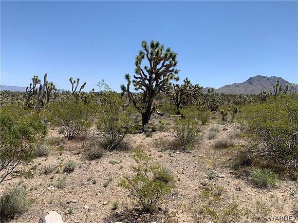 1.1 Acres of Land for Sale in Dolan Springs, Arizona