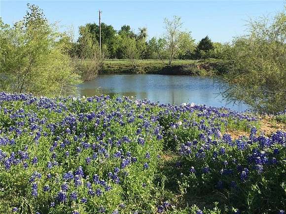 20.7 Acres of Agricultural Land for Sale in Buckholts, Texas