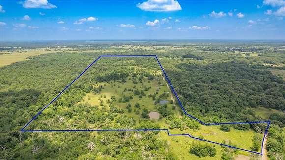 50.9 Acres of Recreational Land for Sale in Talco, Texas