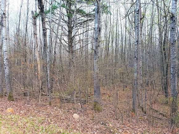 5 Acres of Residential Land for Sale in Hayward, Wisconsin