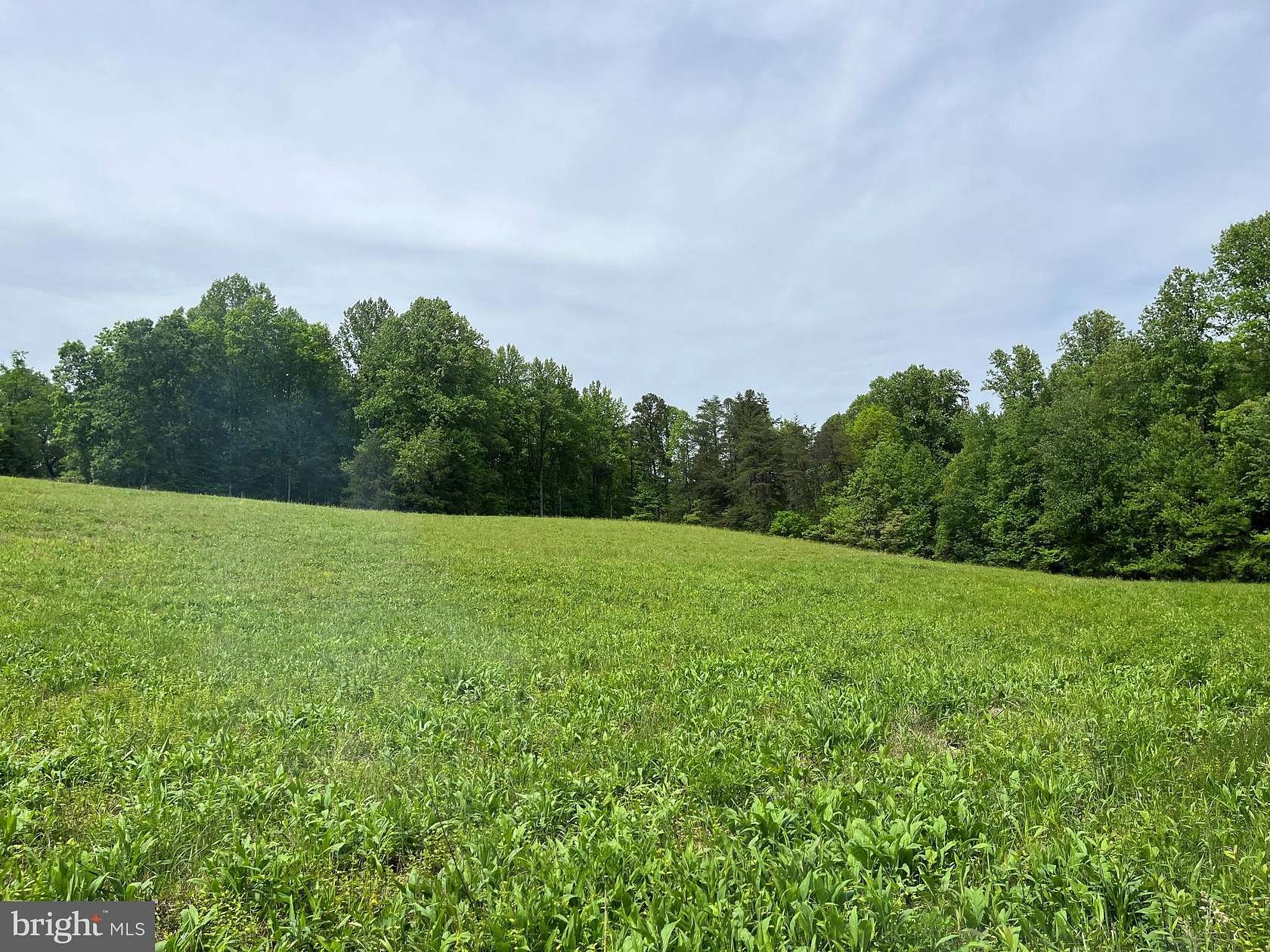 9.9 Acres of Land for Sale in Boston, Virginia
