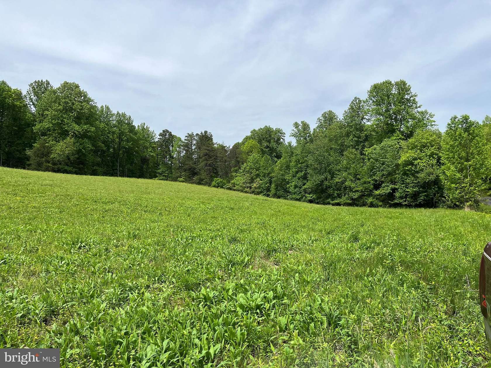 40.7 Acres of Land for Sale in Boston, Virginia