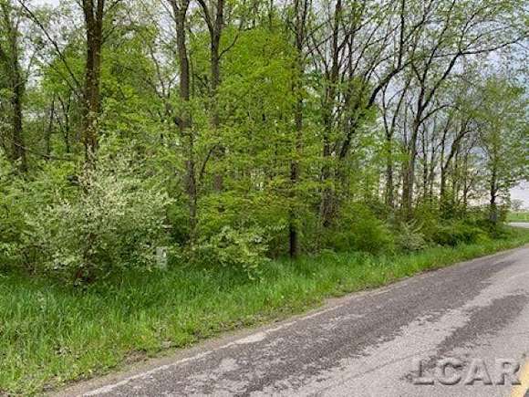 1 Acre of Residential Land for Sale in Onsted, Michigan