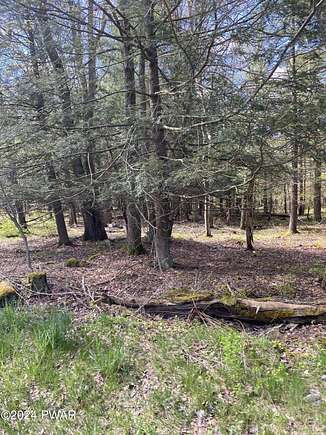 0.5 Acres of Residential Land for Sale in Newfoundland, Pennsylvania