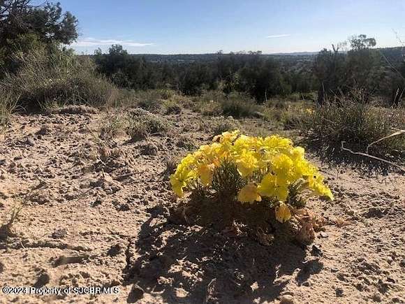 Land for Sale in Aztec, New Mexico