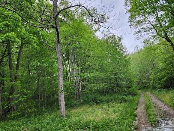 25.5 Acres of Recreational Land for Sale in Meigs Township, Ohio