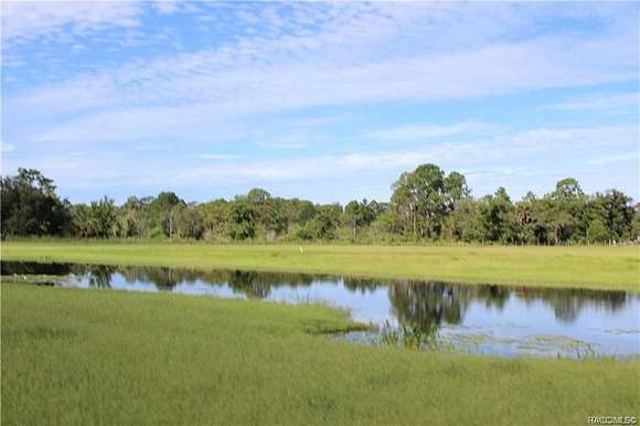 79.6 Acres of Agricultural Land for Sale in Homosassa, Florida