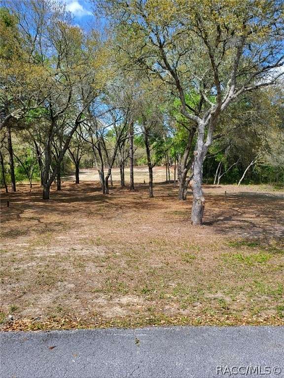 0.92 Acres of Residential Land for Sale in Dunnellon, Florida