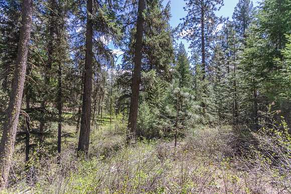 21 Acres of Recreational Land for Sale in Colville, Washington