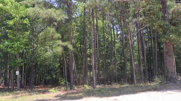 2.5 Acres of Residential Land for Sale in Prosperity, South Carolina